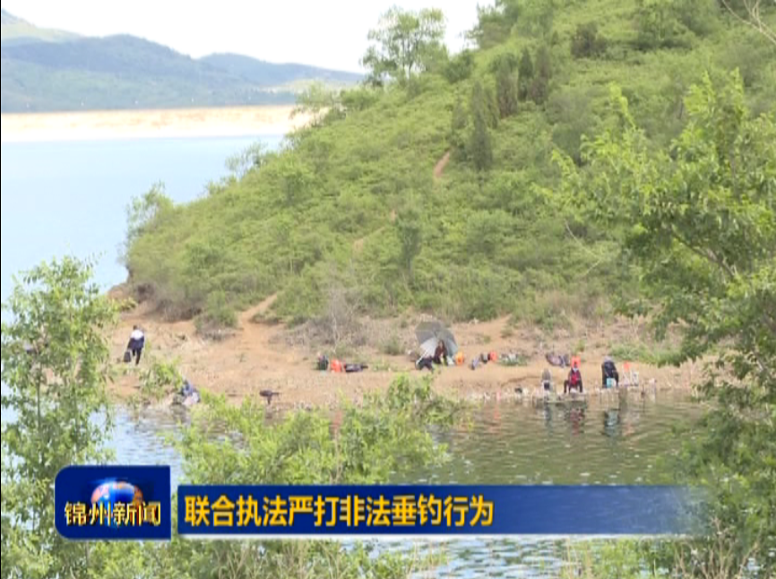 联合执法  严打非法捕钓