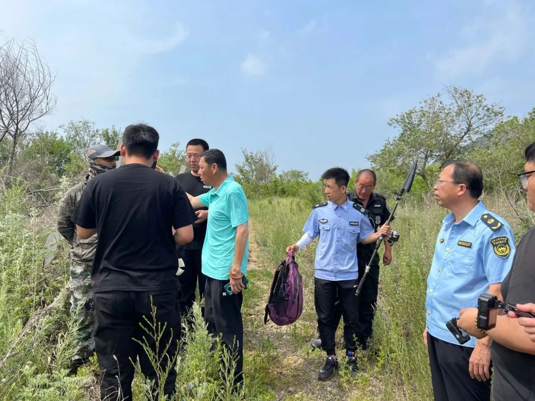 多方联动护锦凌生态 持续发力保绿水青山